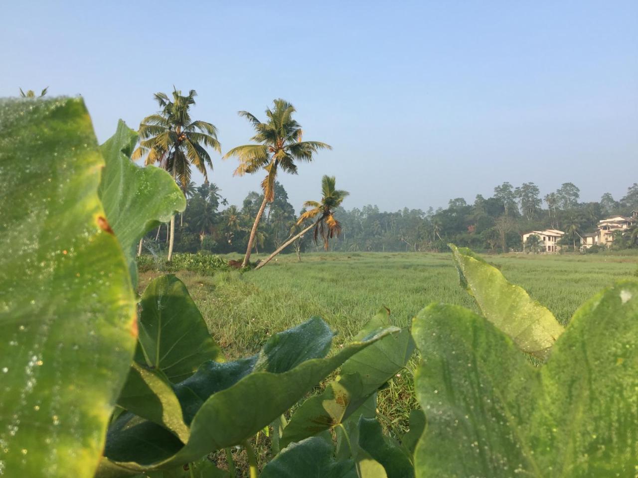 Villa Kumana - Unawatuna Galle Luaran gambar